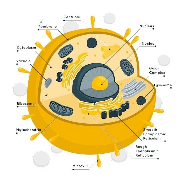 cell organelles and their functions pdf